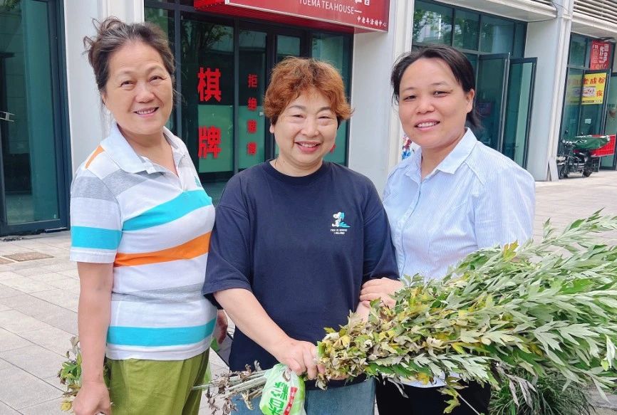 粽叶飘香迎端午 幸福和谐邻里情 | 惠之美好活动接“粽"而来 寻艾送福、包粽子、射五毒让业主体验拉满